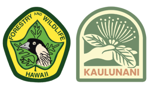 Dept of Forestry Logo