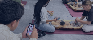 Mana Media Fall Program